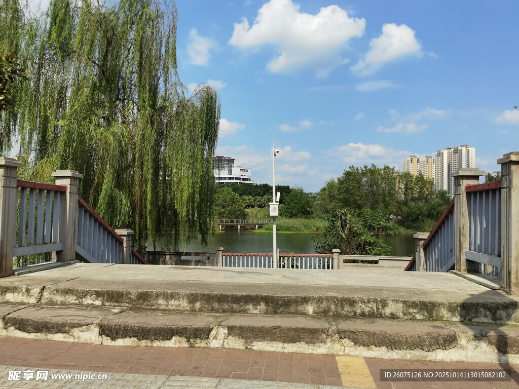 湖畔垂柳下的宁静景致