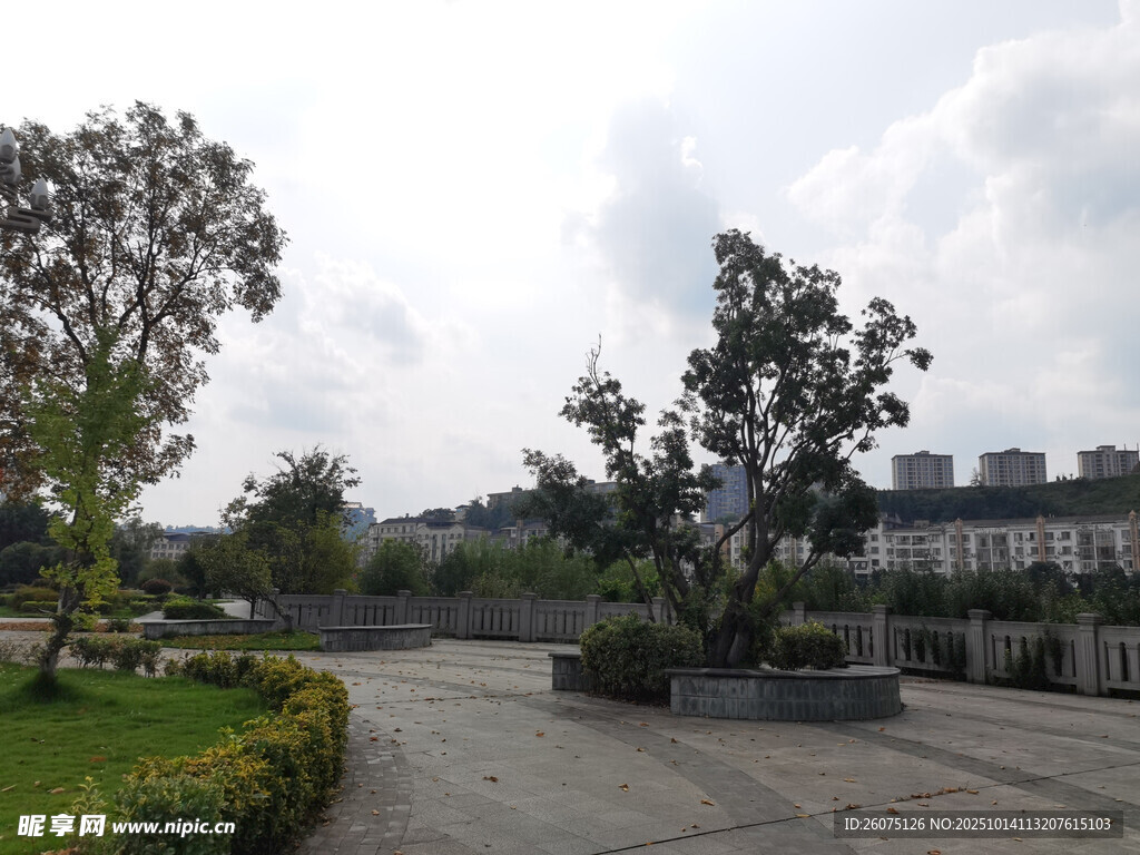城市中的宁静园林景观