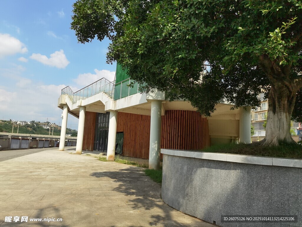 户外庭院旁的绿树与建筑
