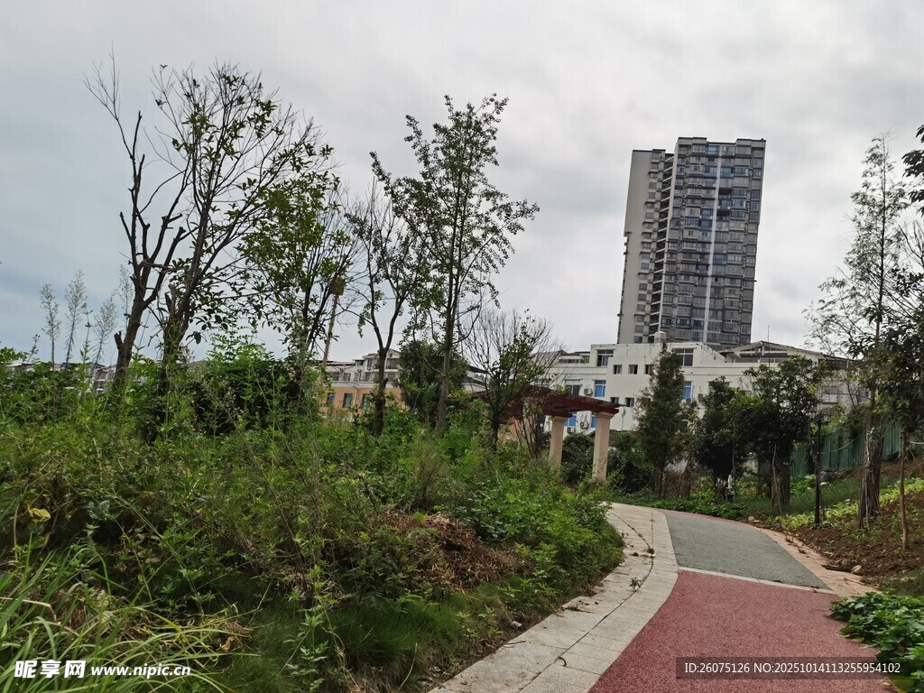 城市中的绿意小径景观