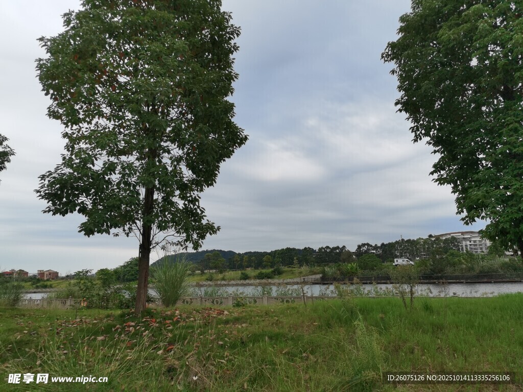 郊外绿树草地风景图