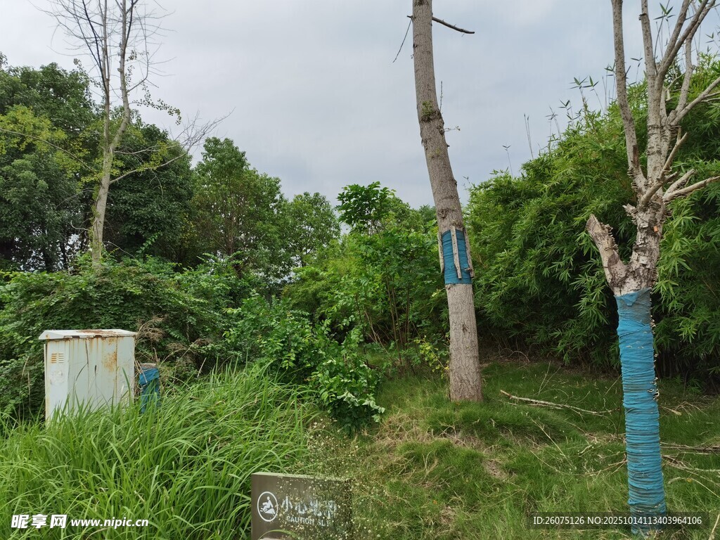 户外草木环绕的设施场景