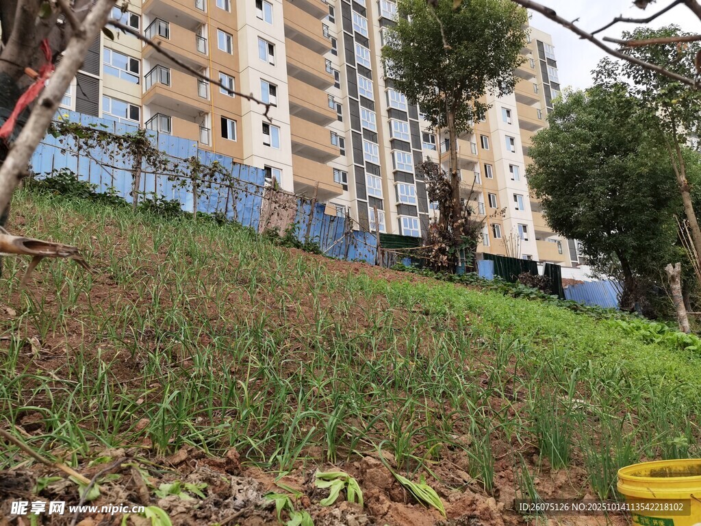小区旁的草地与建筑景观