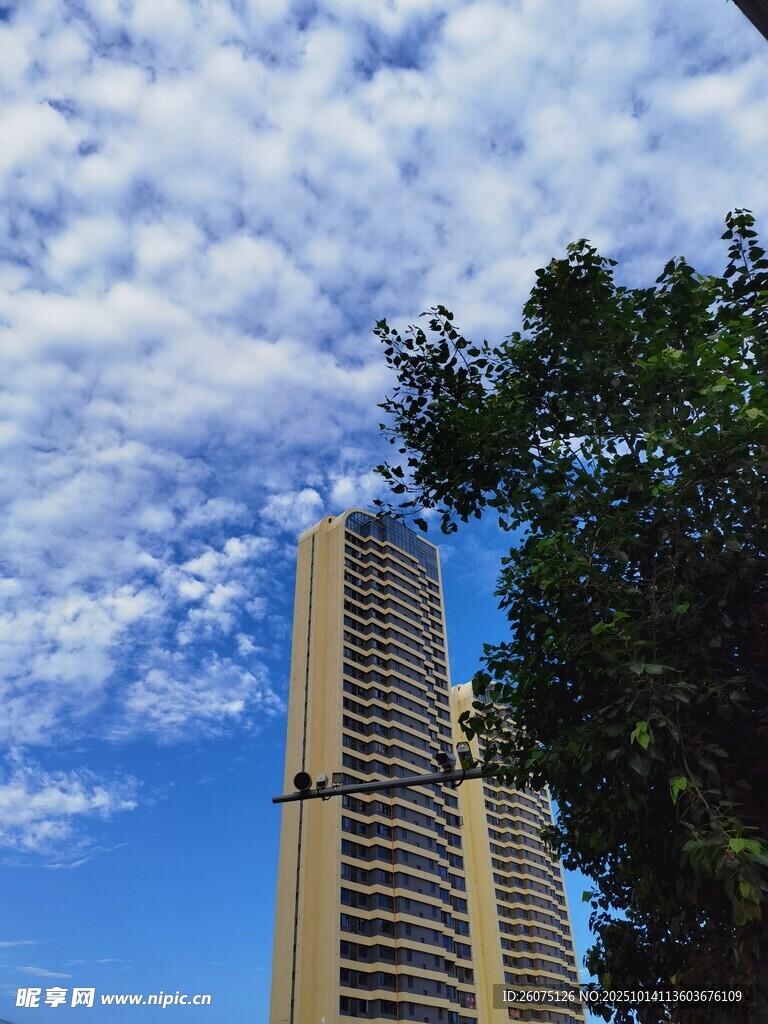 高楼旁蓝天绿树美景