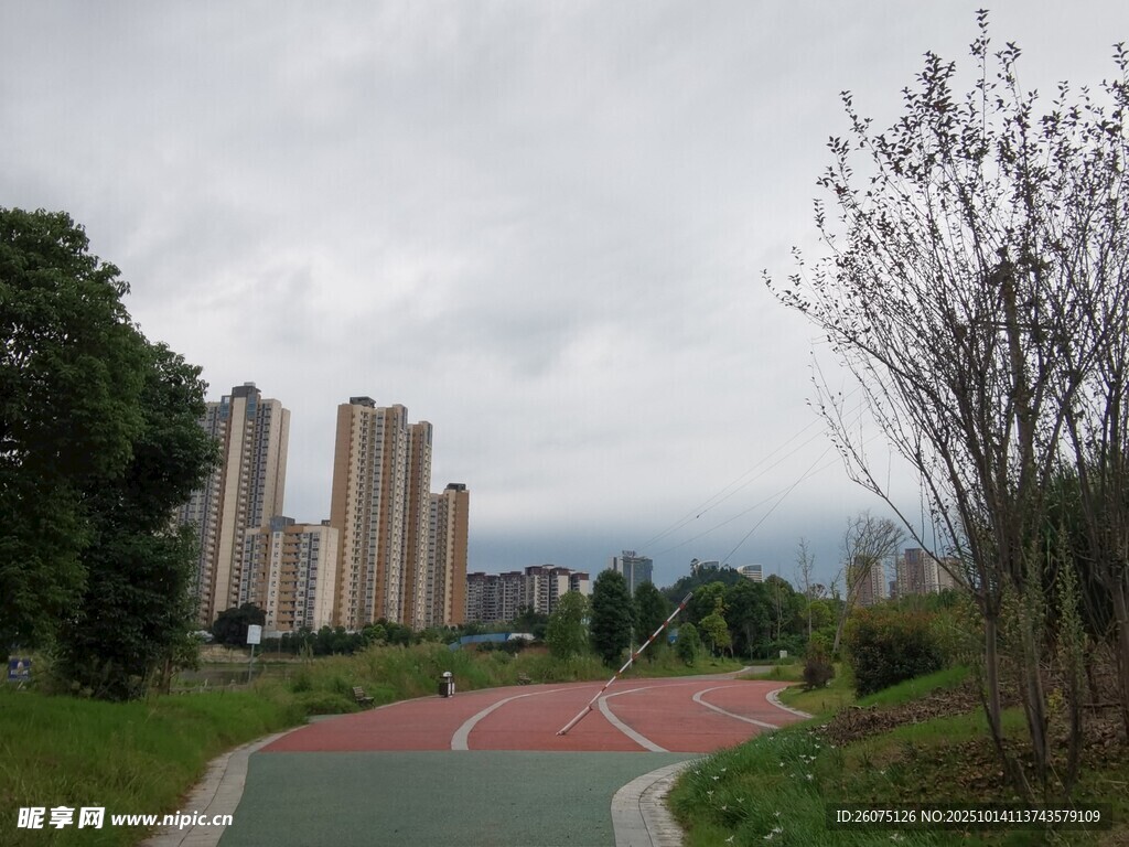 城市公园中的多彩步道景观