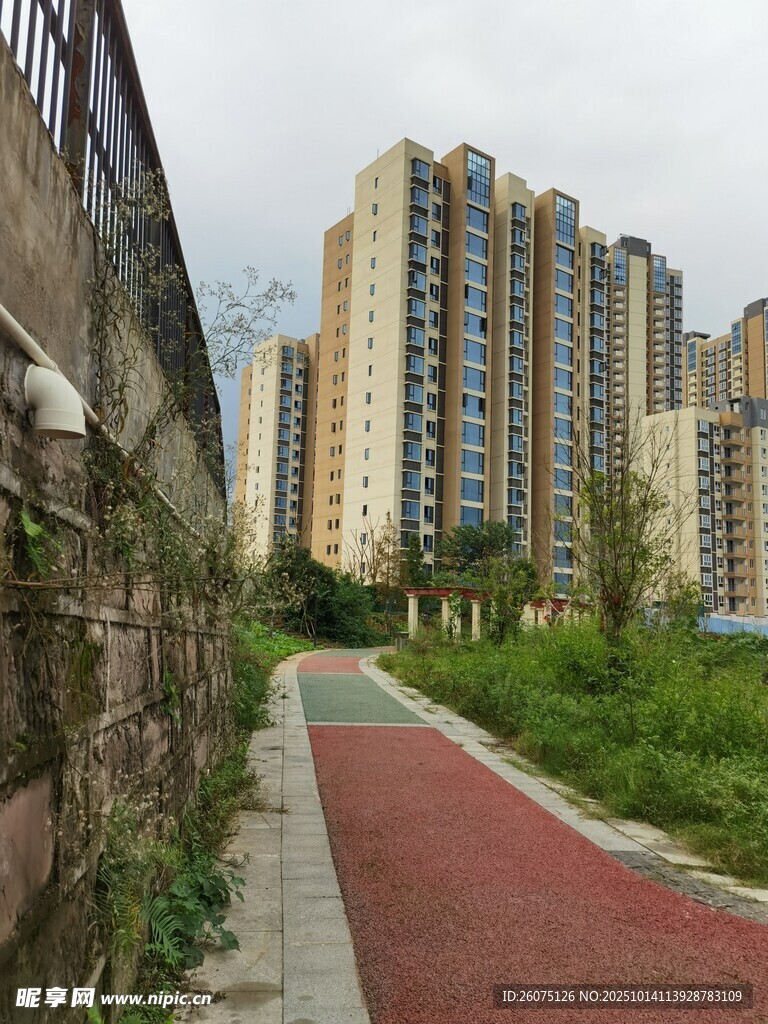 城市旁的绿植步道与高楼