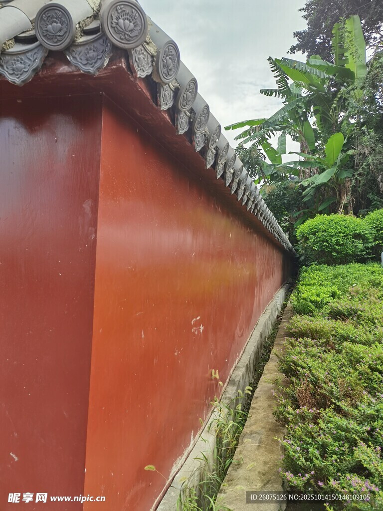 红墙黛瓦旁的绿植景致