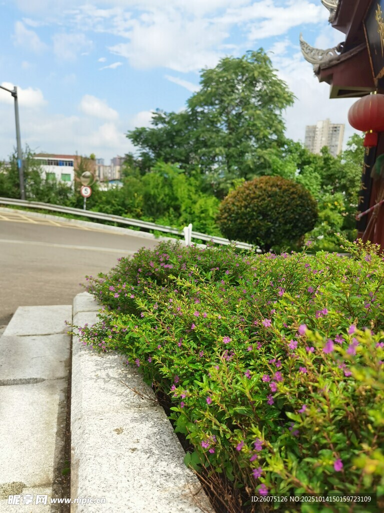 路边多彩绿植与中式建筑
