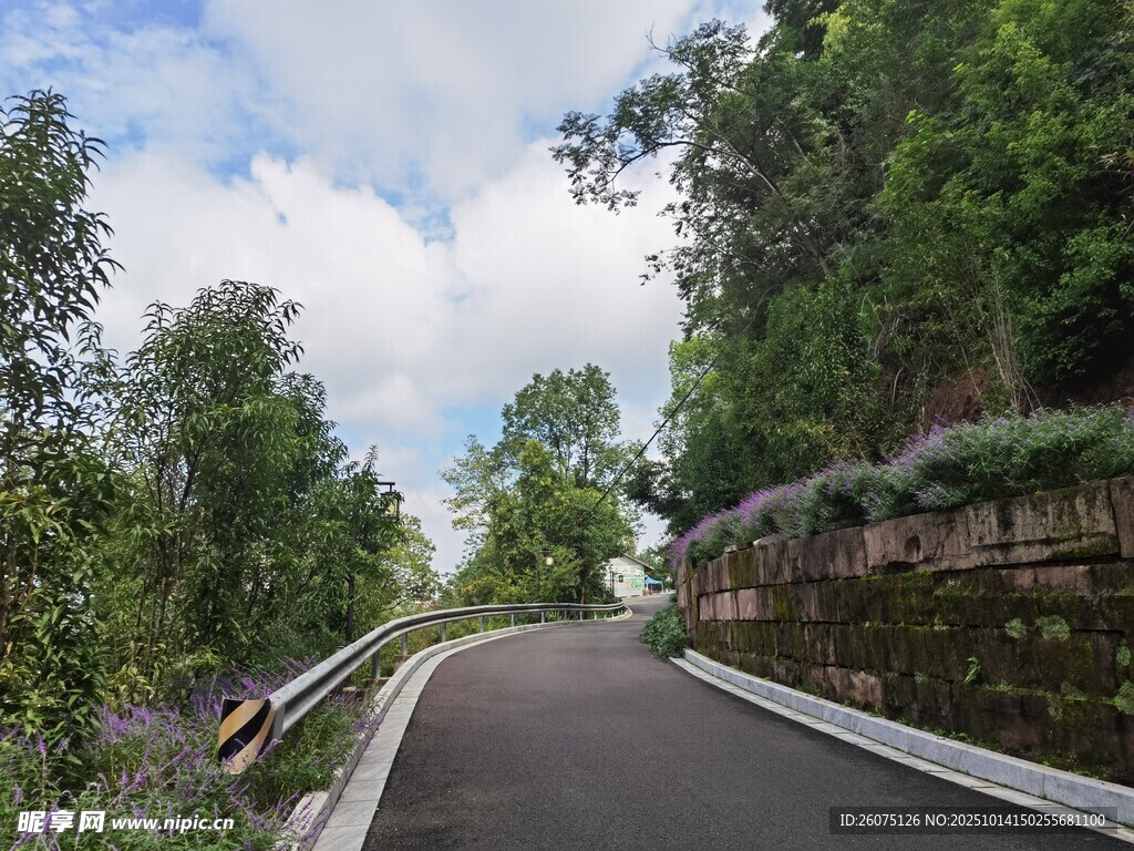 山间蜿蜒的静谧骑行道路