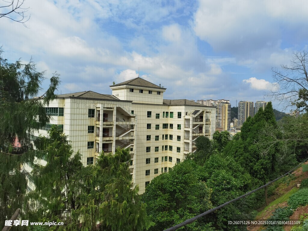 绿树环绕的多层住宅楼