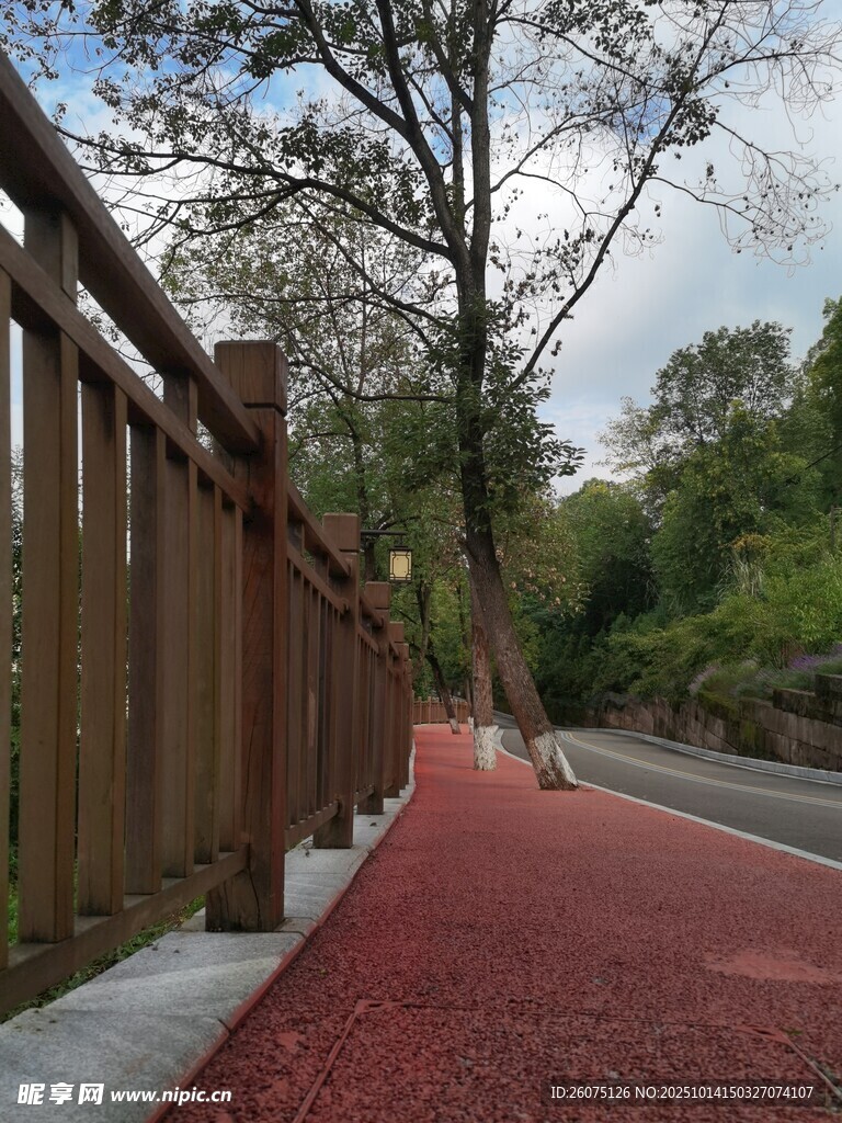 林间红道旁的木质围栏