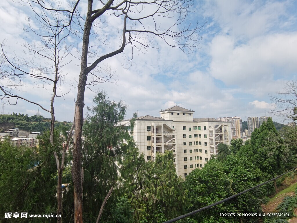 林间高楼