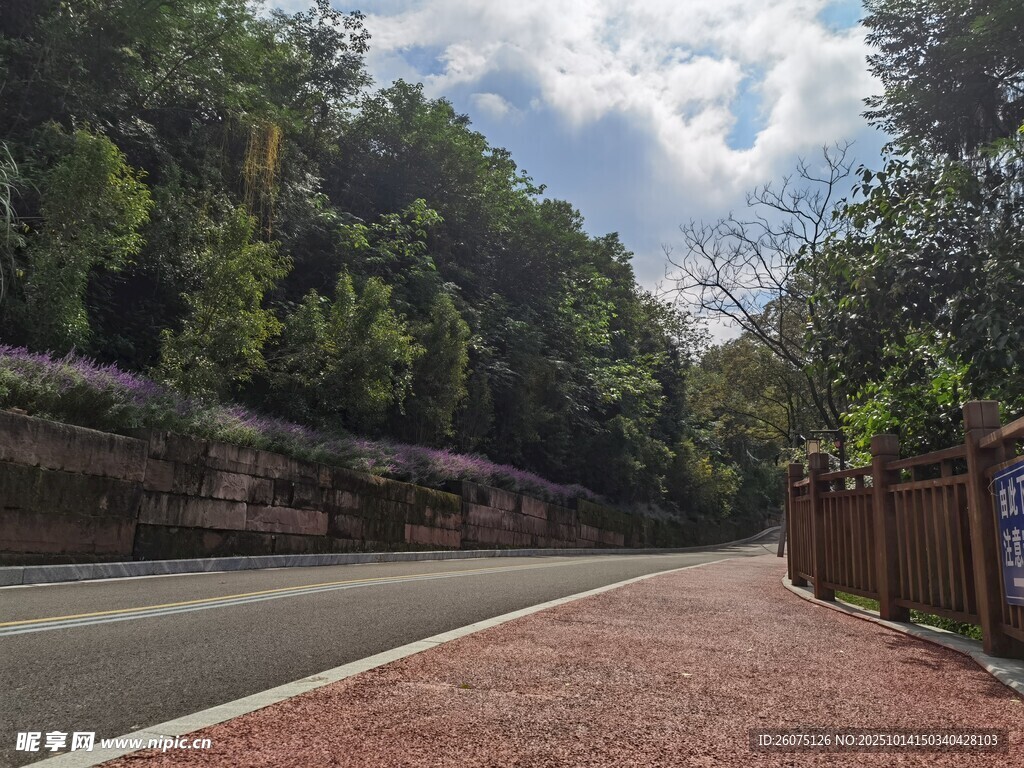 林间红砖步道风景