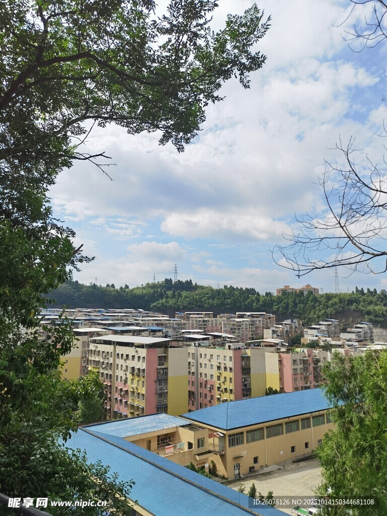 俯瞰多彩建筑与葱郁树木