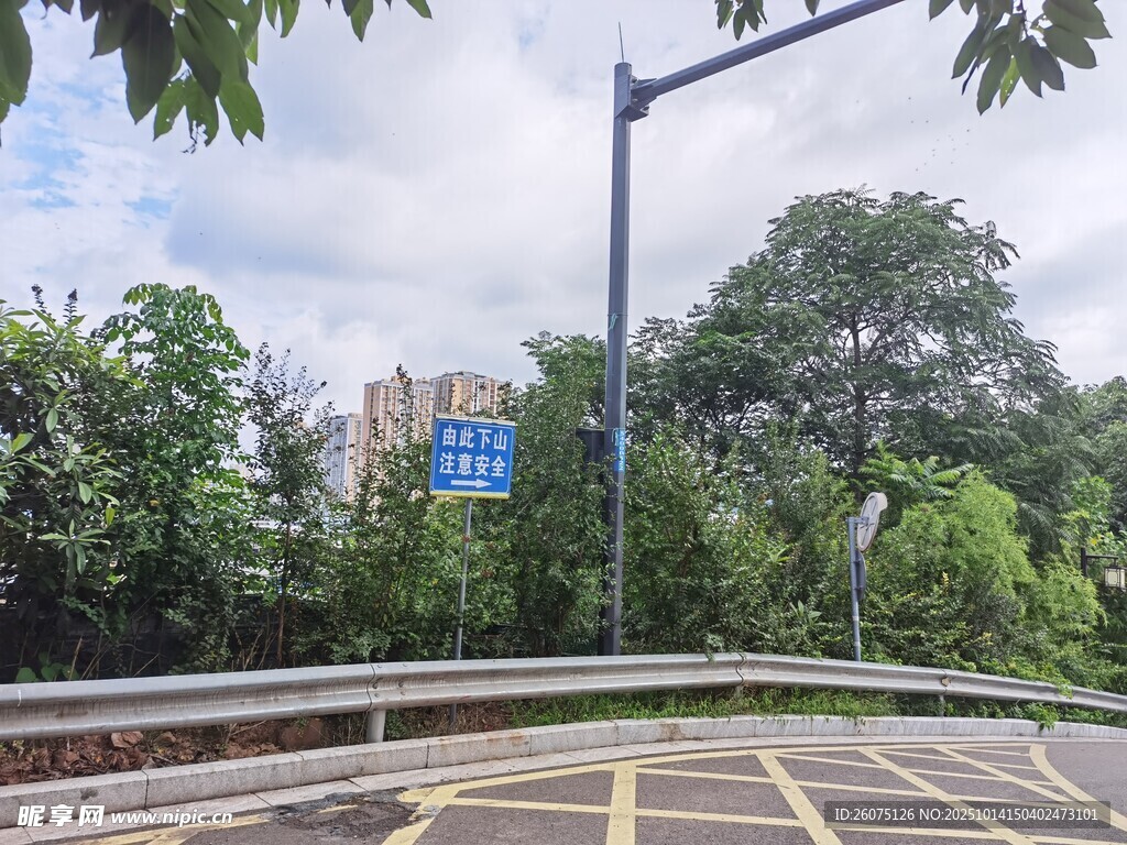 公路旁绿树环绕的指示牌