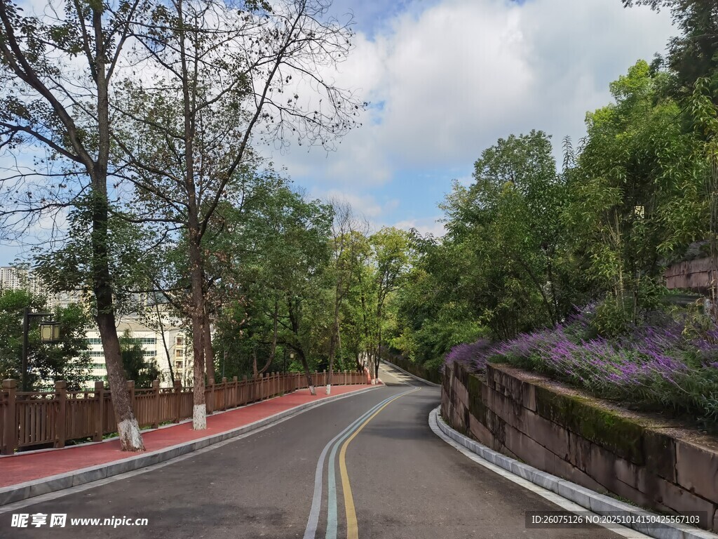 蜿蜒山间公路风景如画
