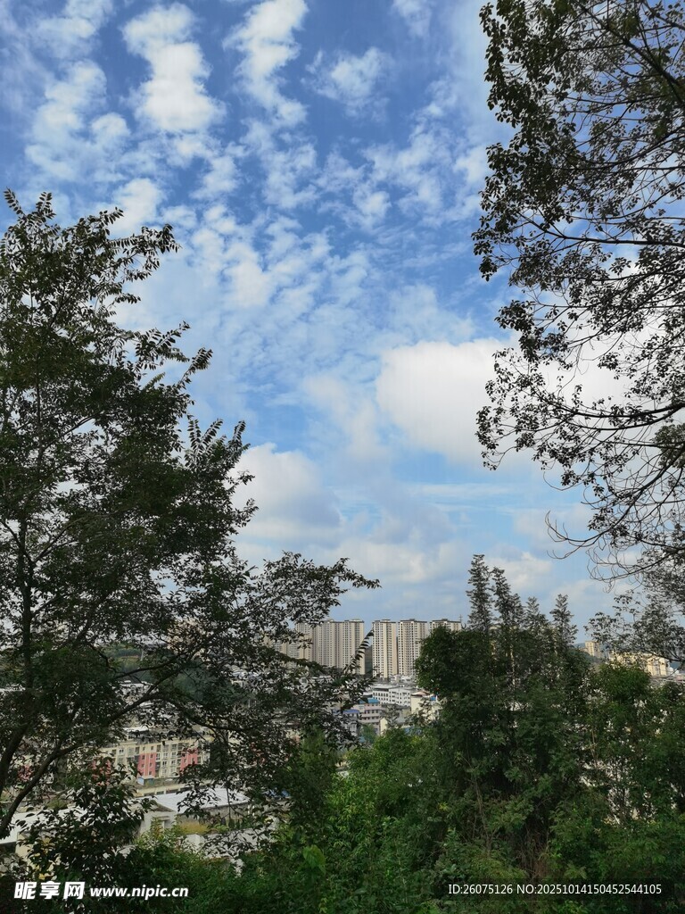 林间远眺蓝天碧海美景