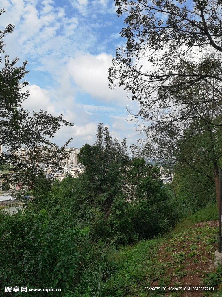 户外绿树蓝天自然风景