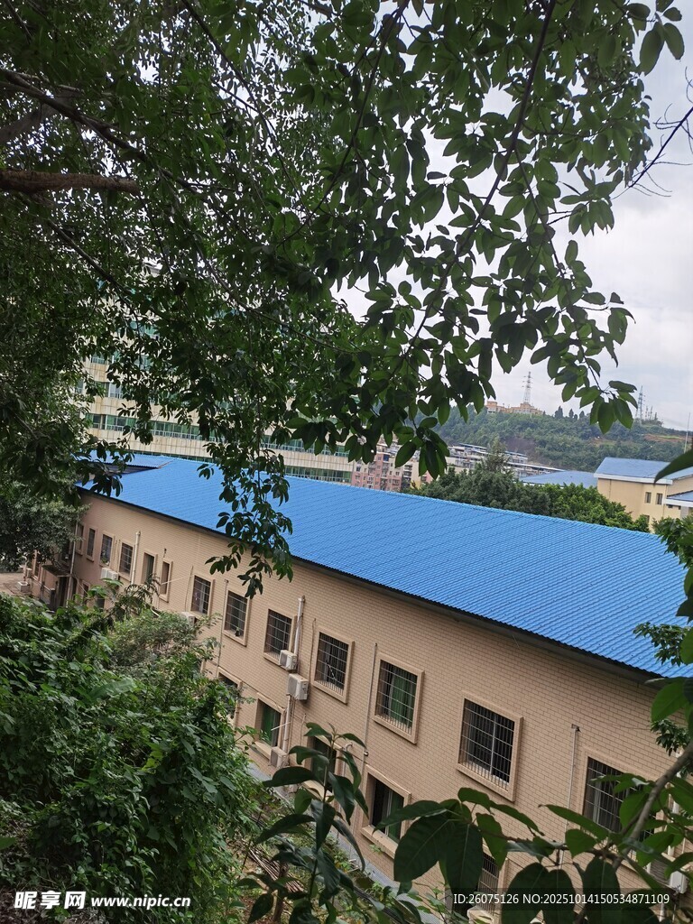 蓝顶房屋隐于葱郁树林间