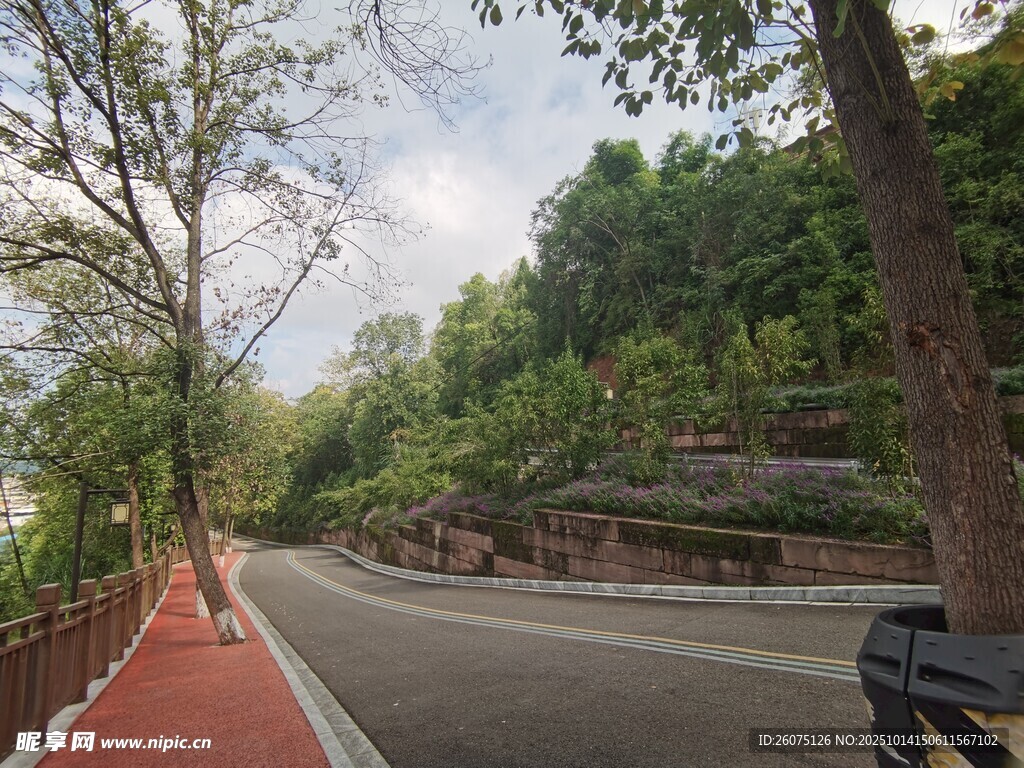 林间红道静谧自然风景