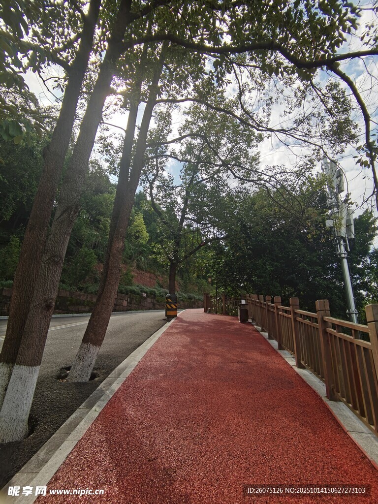 林间红色步道自然好风光
