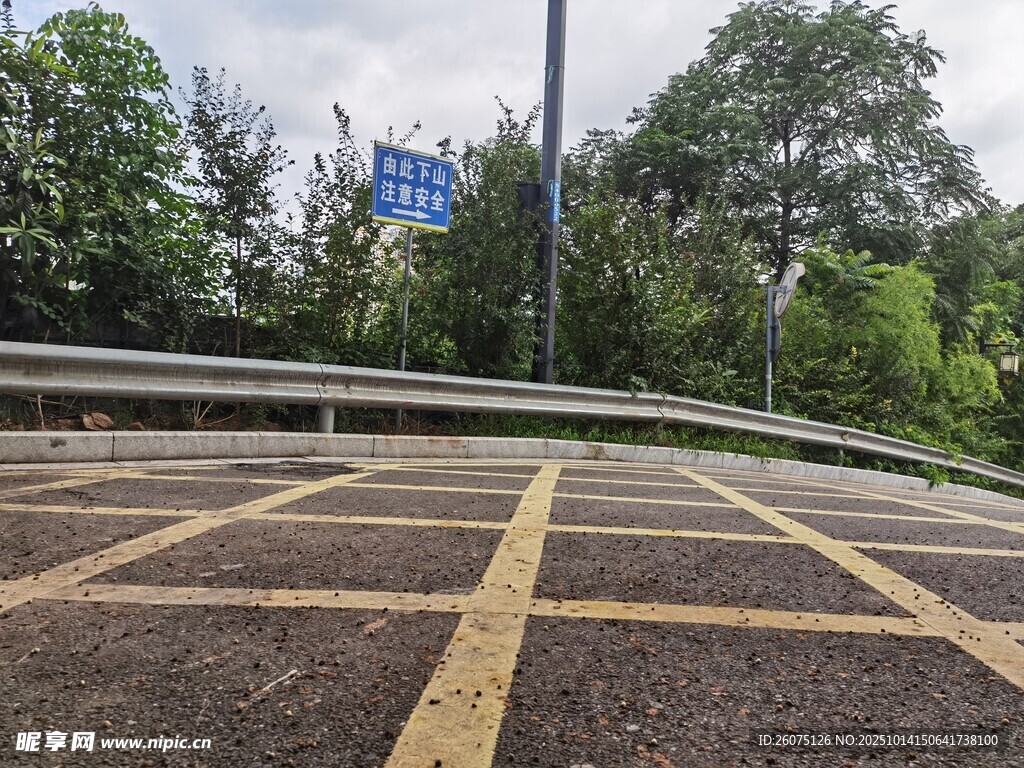 道路旁护栏与树木景观