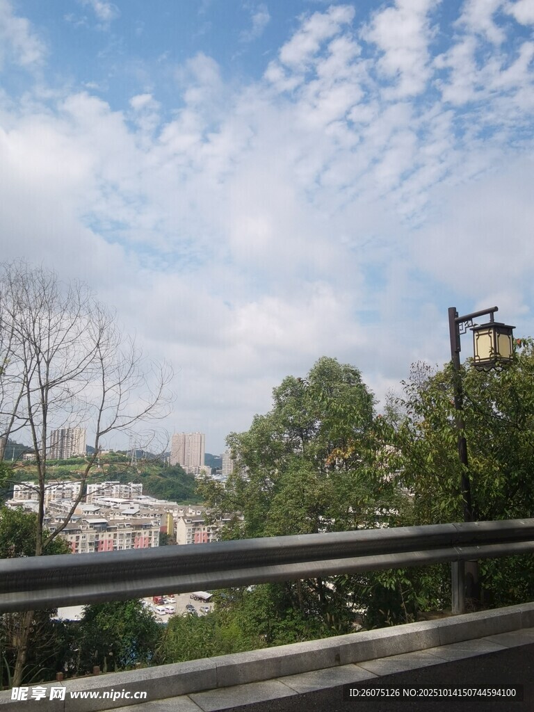 公路边的蓝天绿树景致