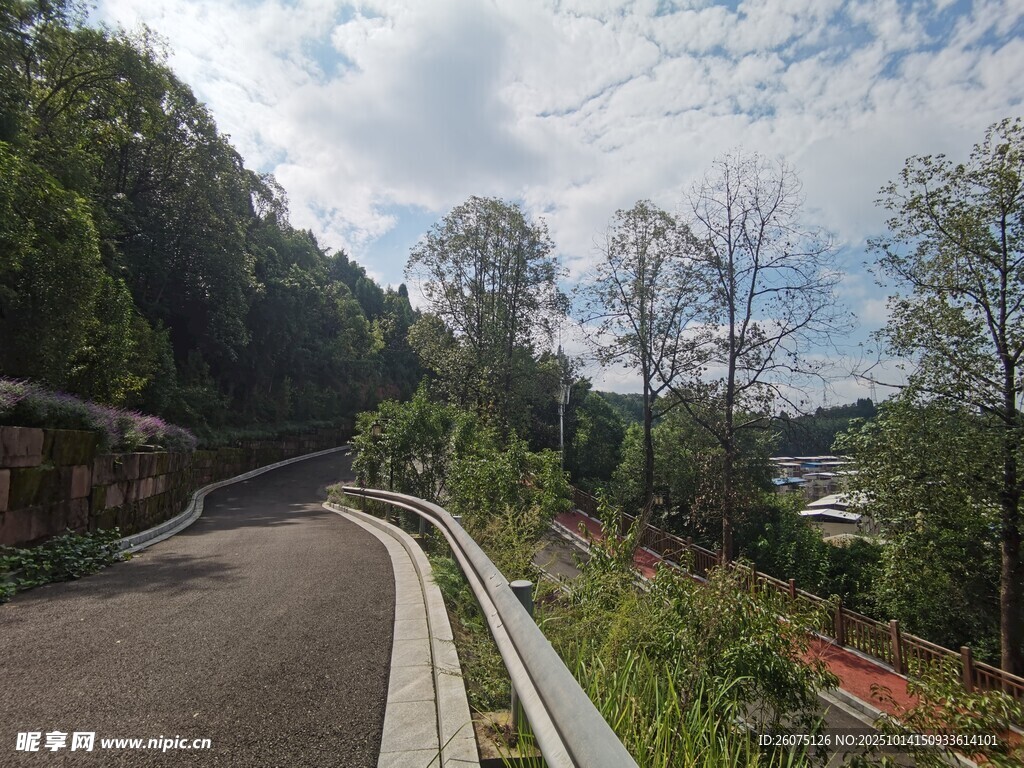 蜿蜒公路旁的葱郁景致