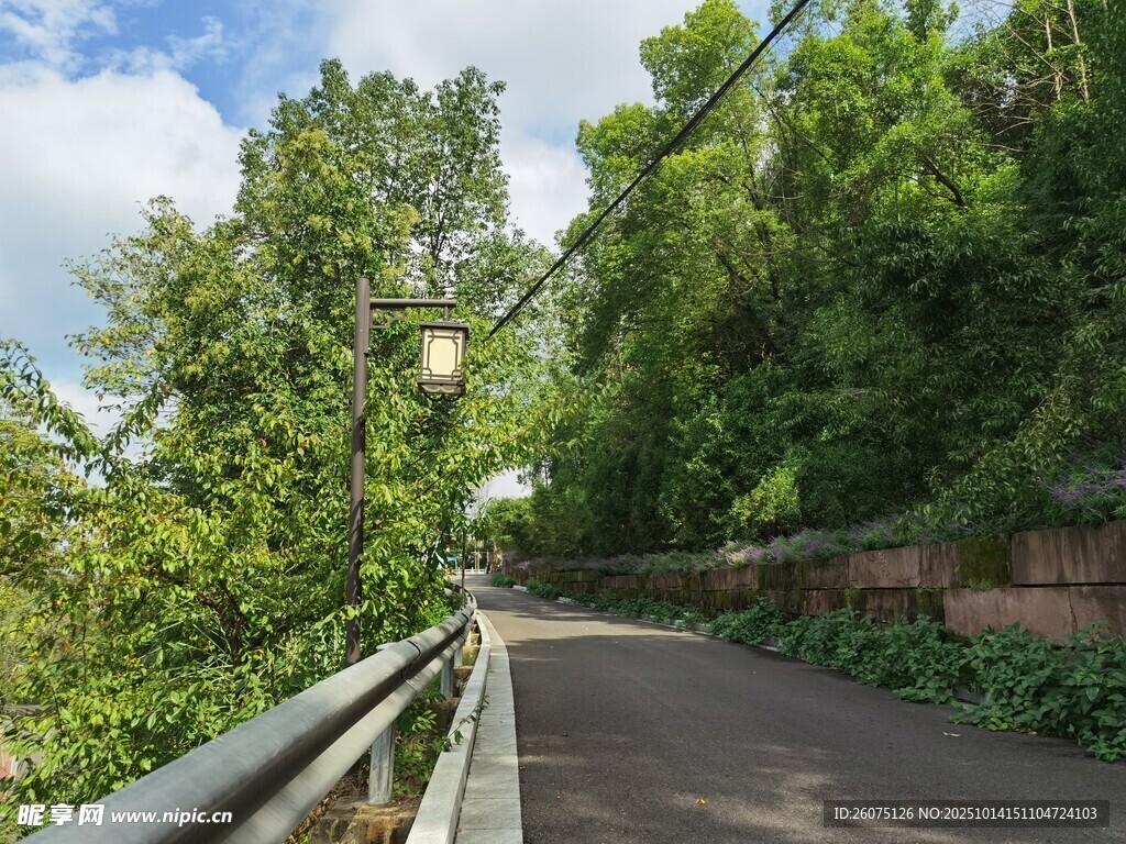山间幽静小路绿意盎然