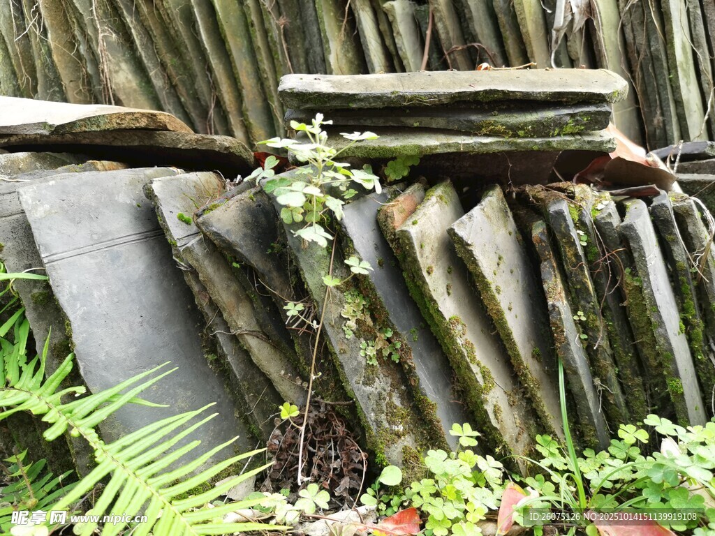 堆叠的瓦片与绿植景致