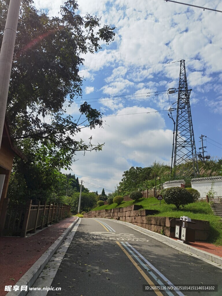 城市道路旁的电线杆与绿植