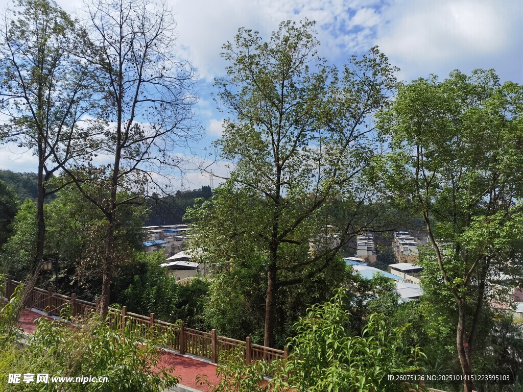 山林间的开阔景致