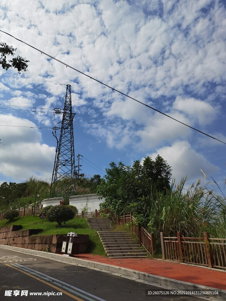公路旁的输电塔与绿树