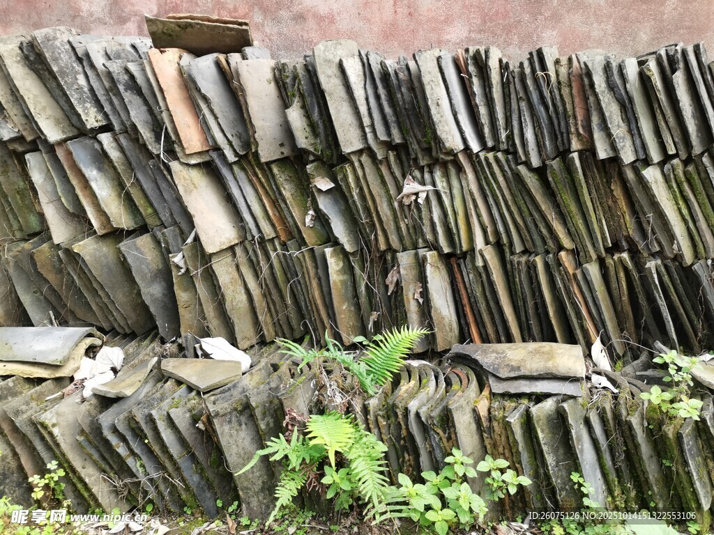 老旧瓦片墙绿植点缀