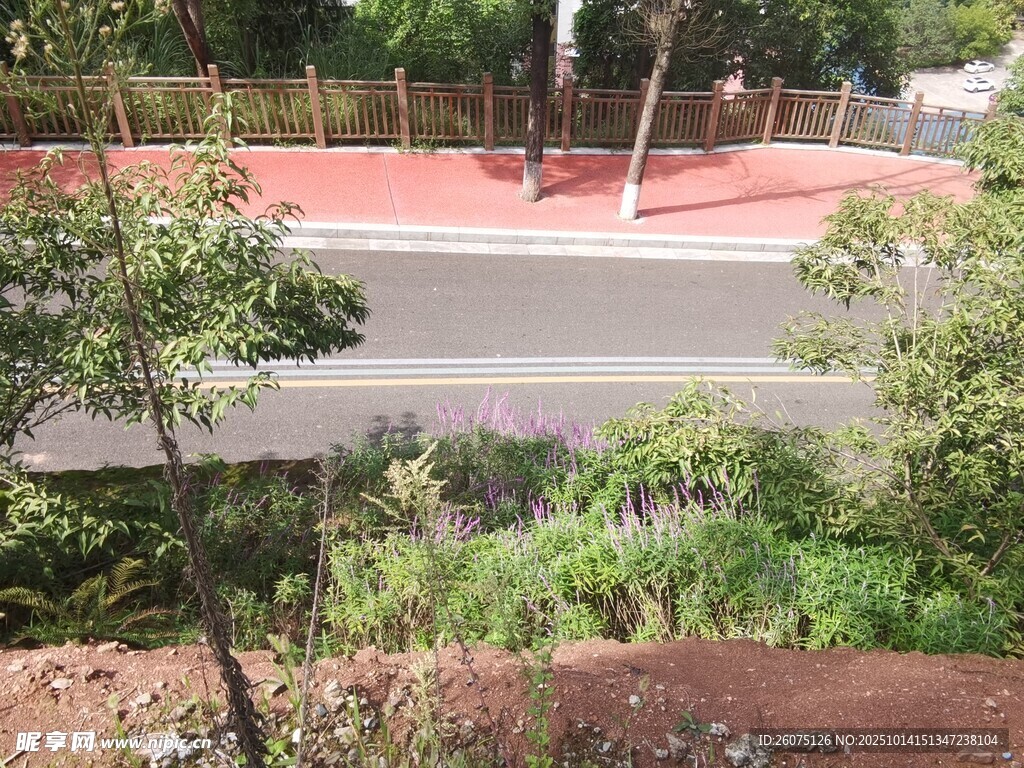路边绿植景观