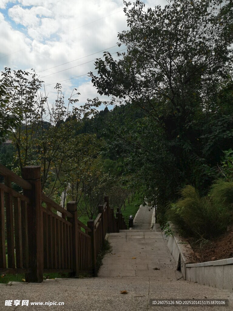 山间小径漫步的悠闲时光