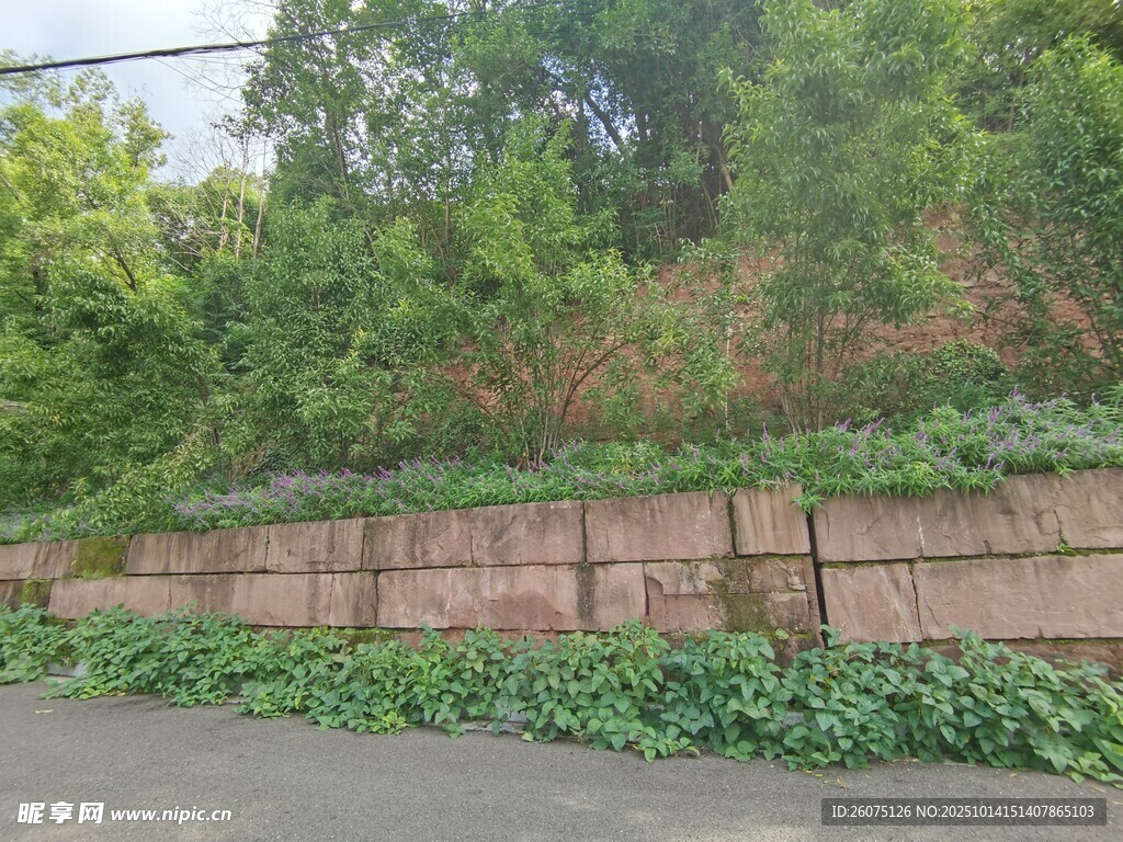 路边绿植与砖砌护墙景观