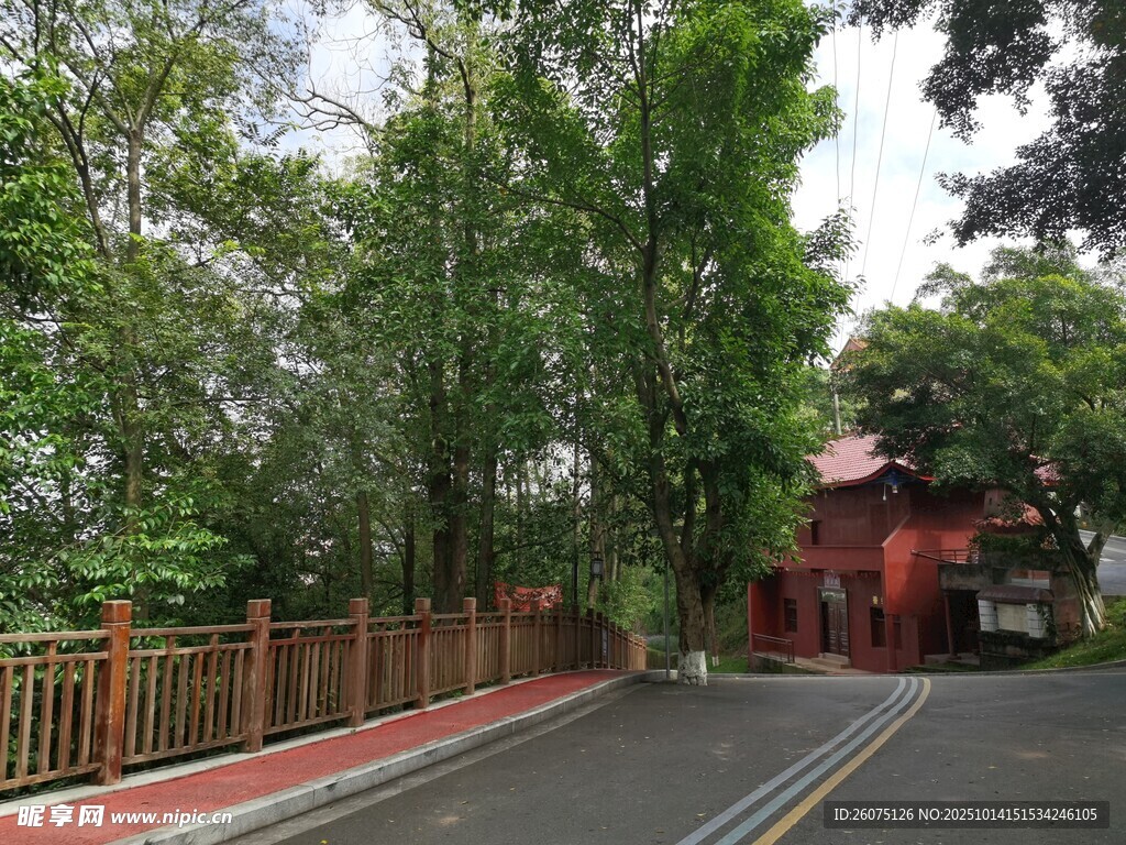 林间红屋旁的静谧道路
