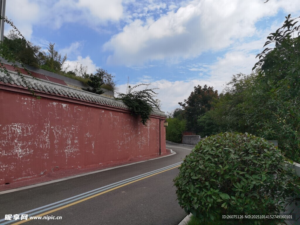 红墙绿树间的宁静道路