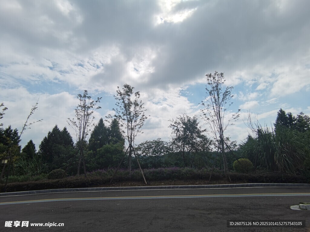 户外空旷场地与树木景观