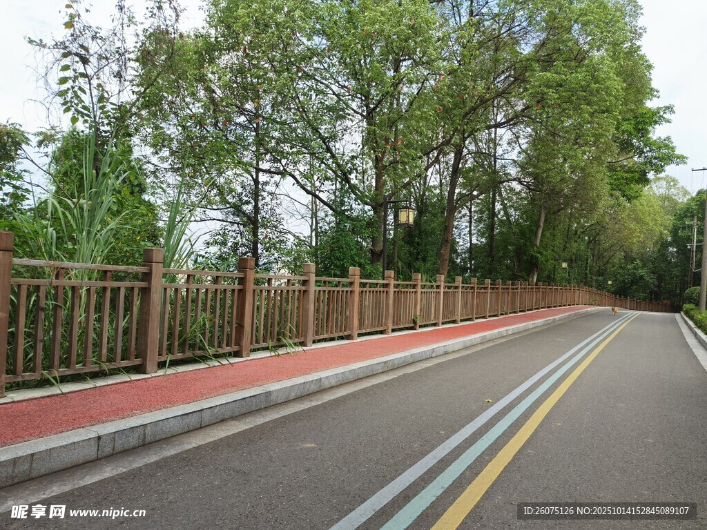 林间公路清新自然景致