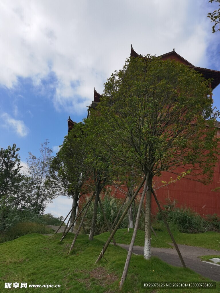 红墙绿树间的中式古建筑