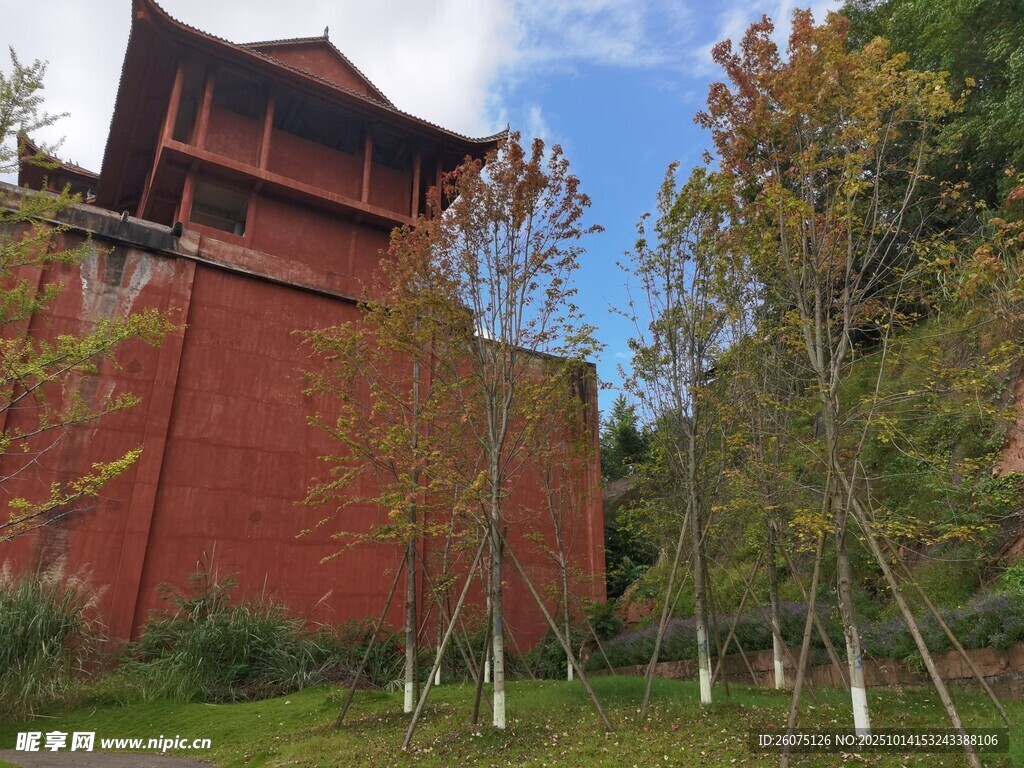 红墙古建旁的葱郁树木