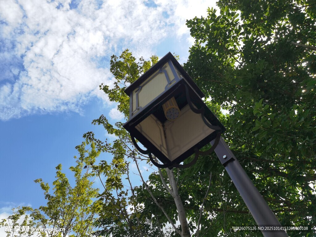 蓝天绿树间的复古路灯