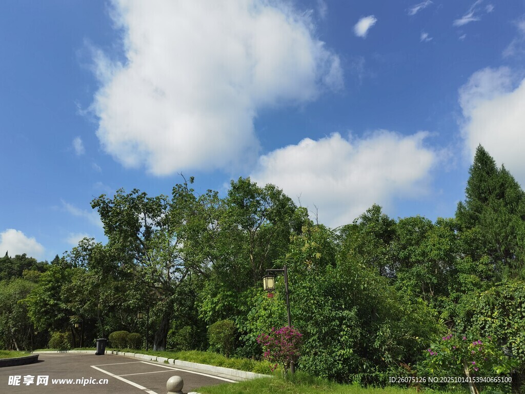 林间公路蓝天白云绿树