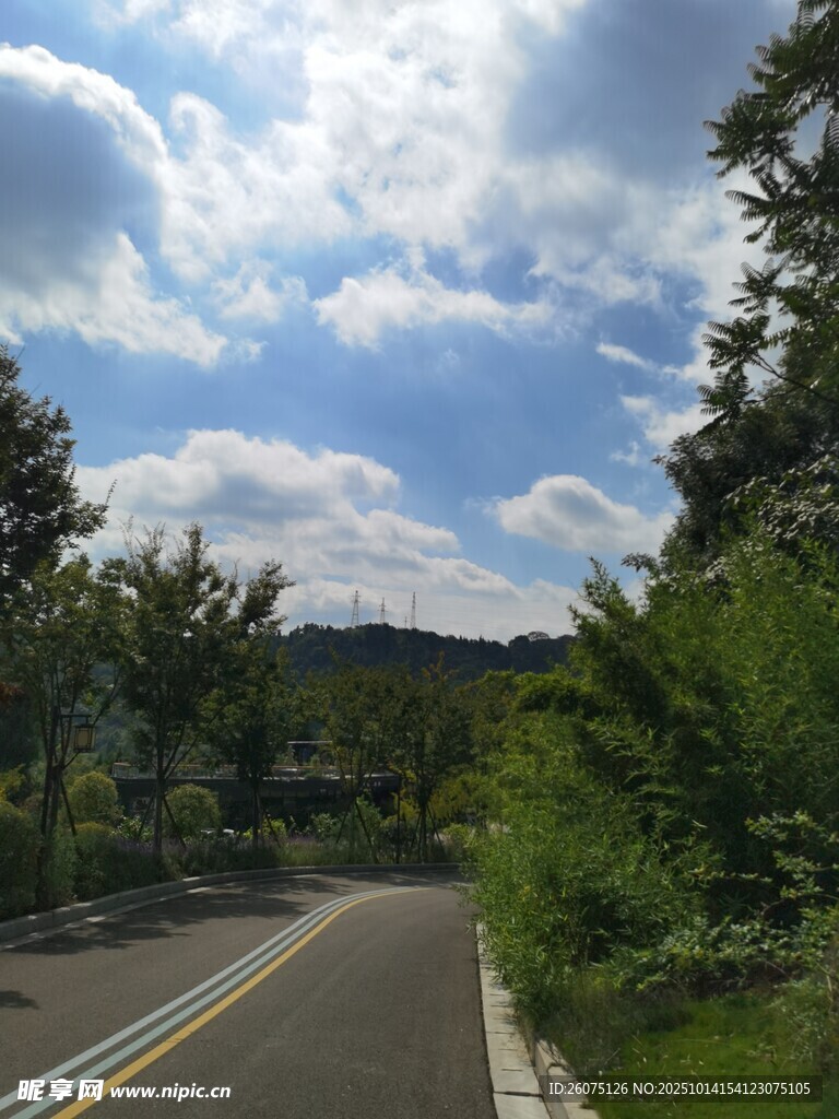 蜿蜒公路旁的葱郁景致