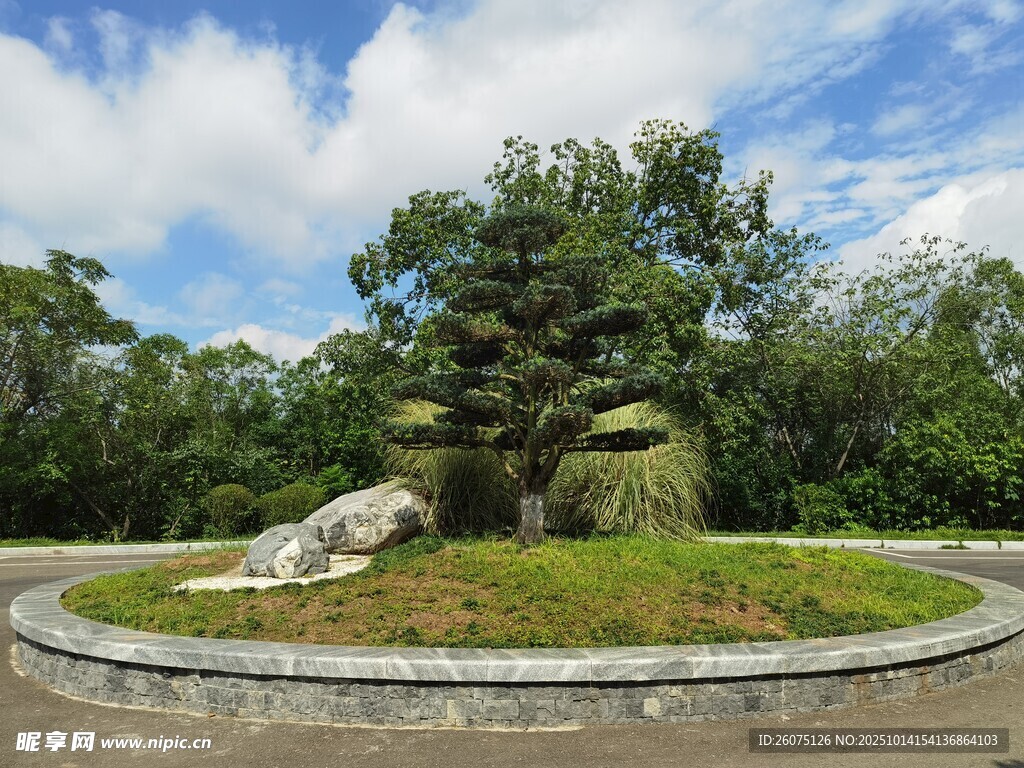 园林景观中的绿植与石景