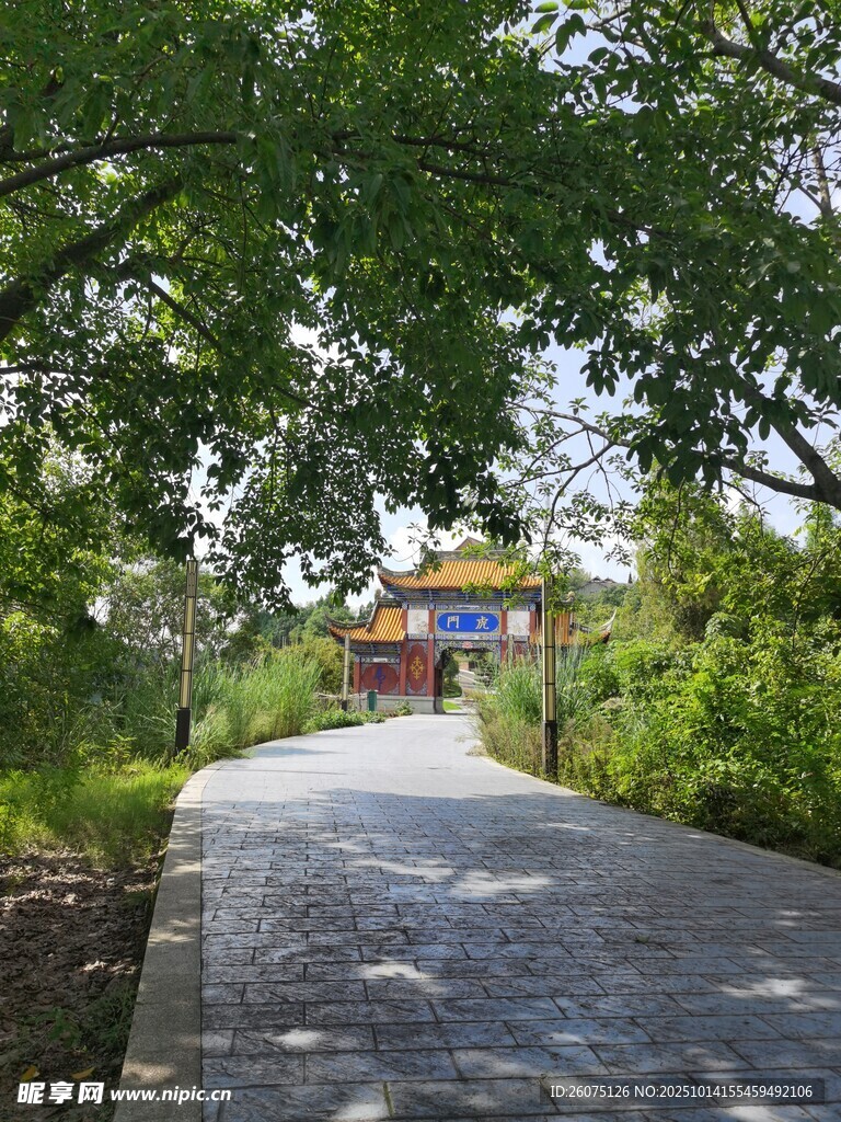 林间小道通往古朴建筑