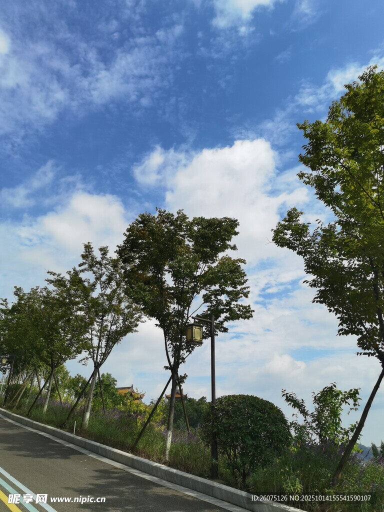 公路旁绿树与蓝天白云