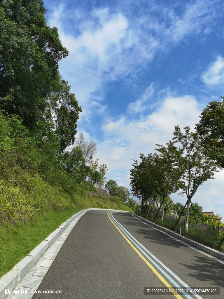 蜿蜒公路旁绿意盎然风景